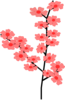 Sakura Blossoms Clip Art